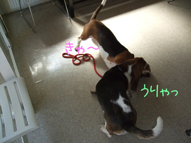 ノエル、クレタちゃんにたおされる