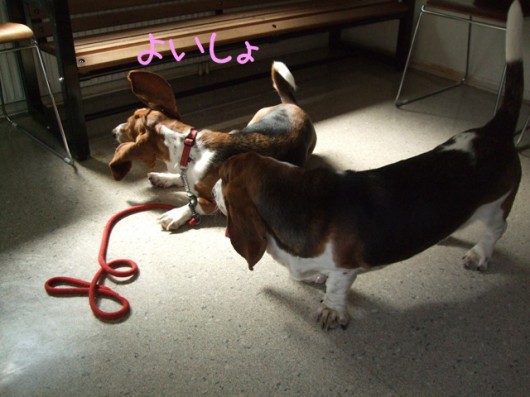 ノエル、起きあがる